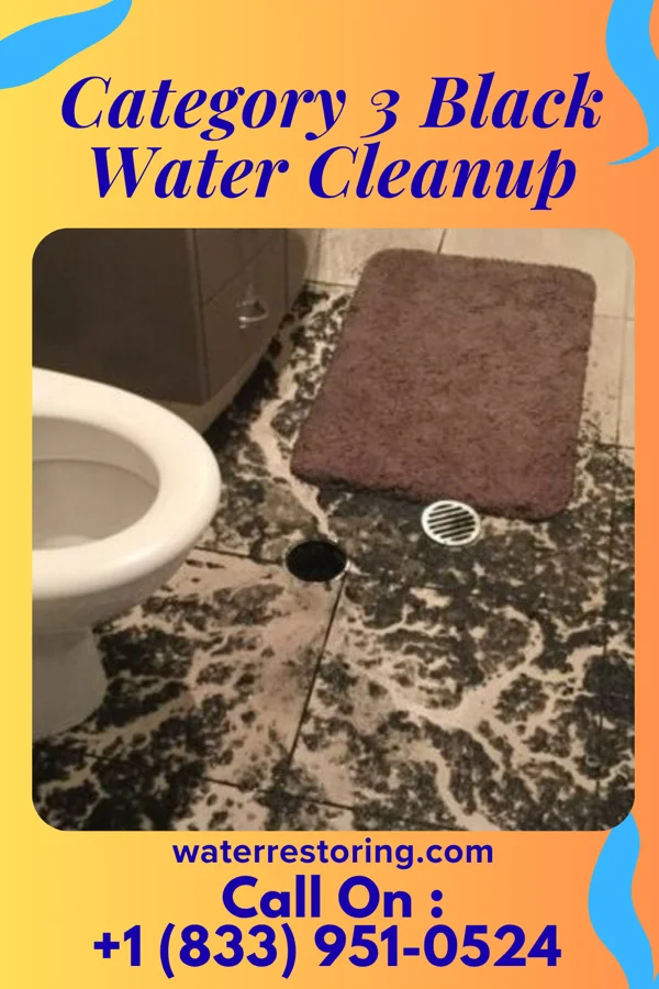 Category 3 Black Water Cleanup in Havana, ND