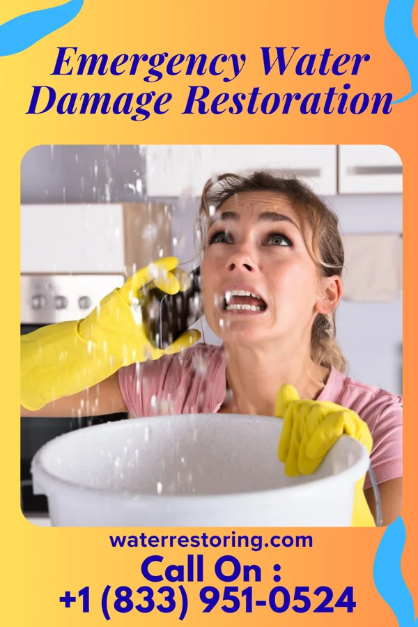 Emergency Water Damage Restoration in Havana, ND