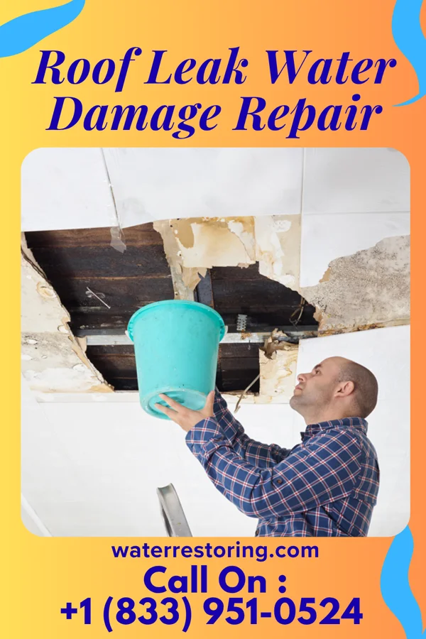 Roof Leak Water Damage Repair in Havana, ND